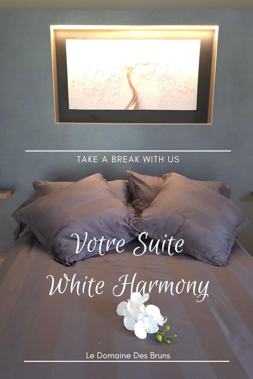 Domaine Des Bruns Bed & Breakfast Châtillon-Coligny Exterior foto