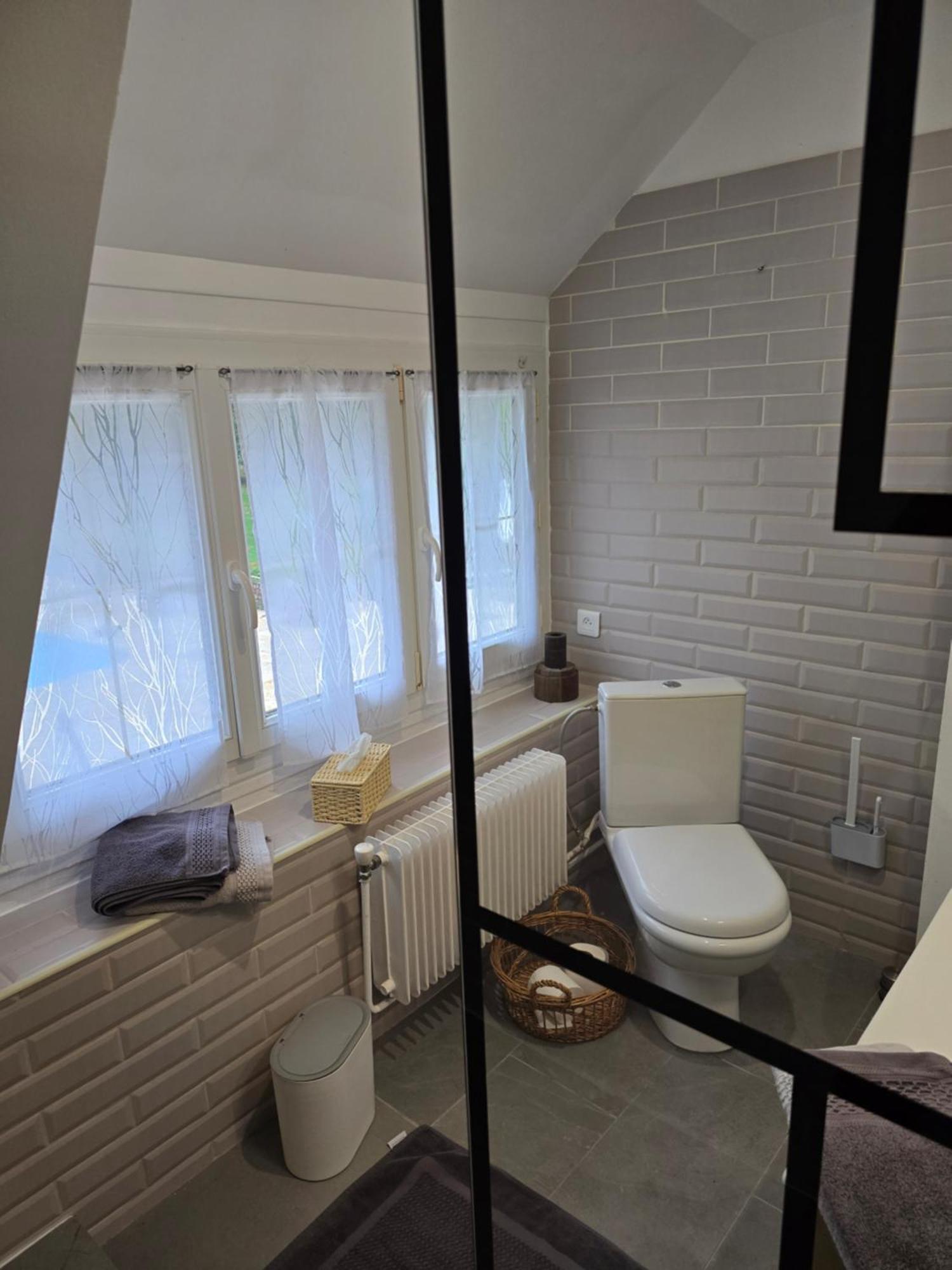 Domaine Des Bruns Bed & Breakfast Châtillon-Coligny Exterior foto